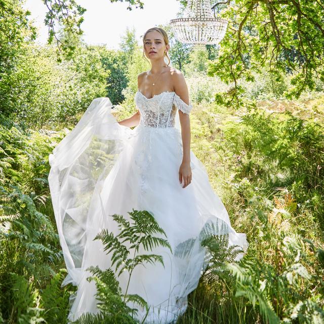 Click to download photo