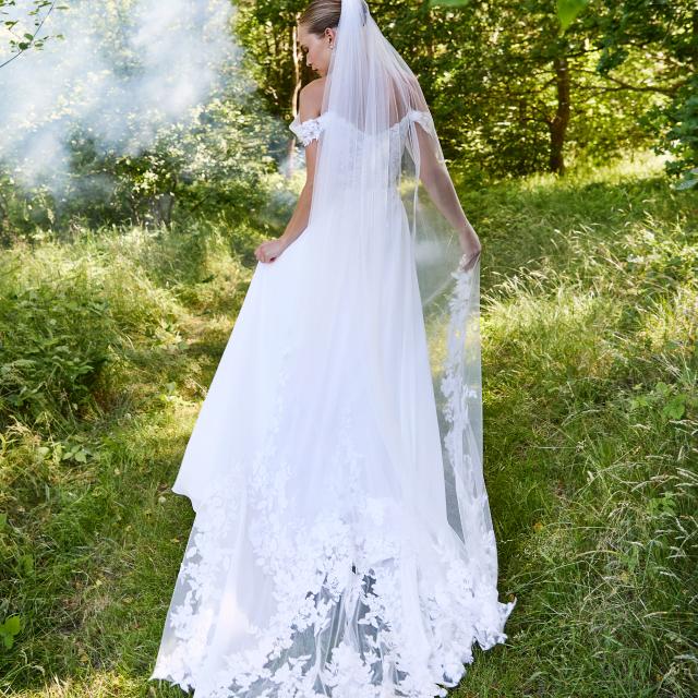 Click to download photo