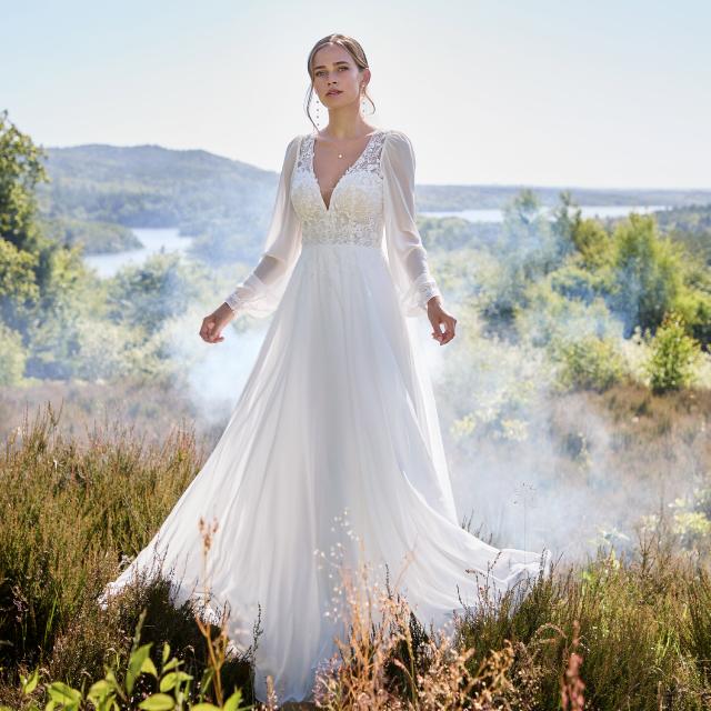 Click to download photo