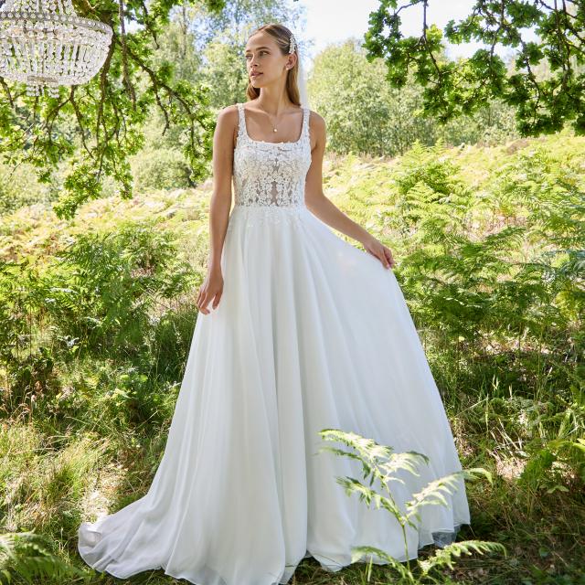 Click to download photo